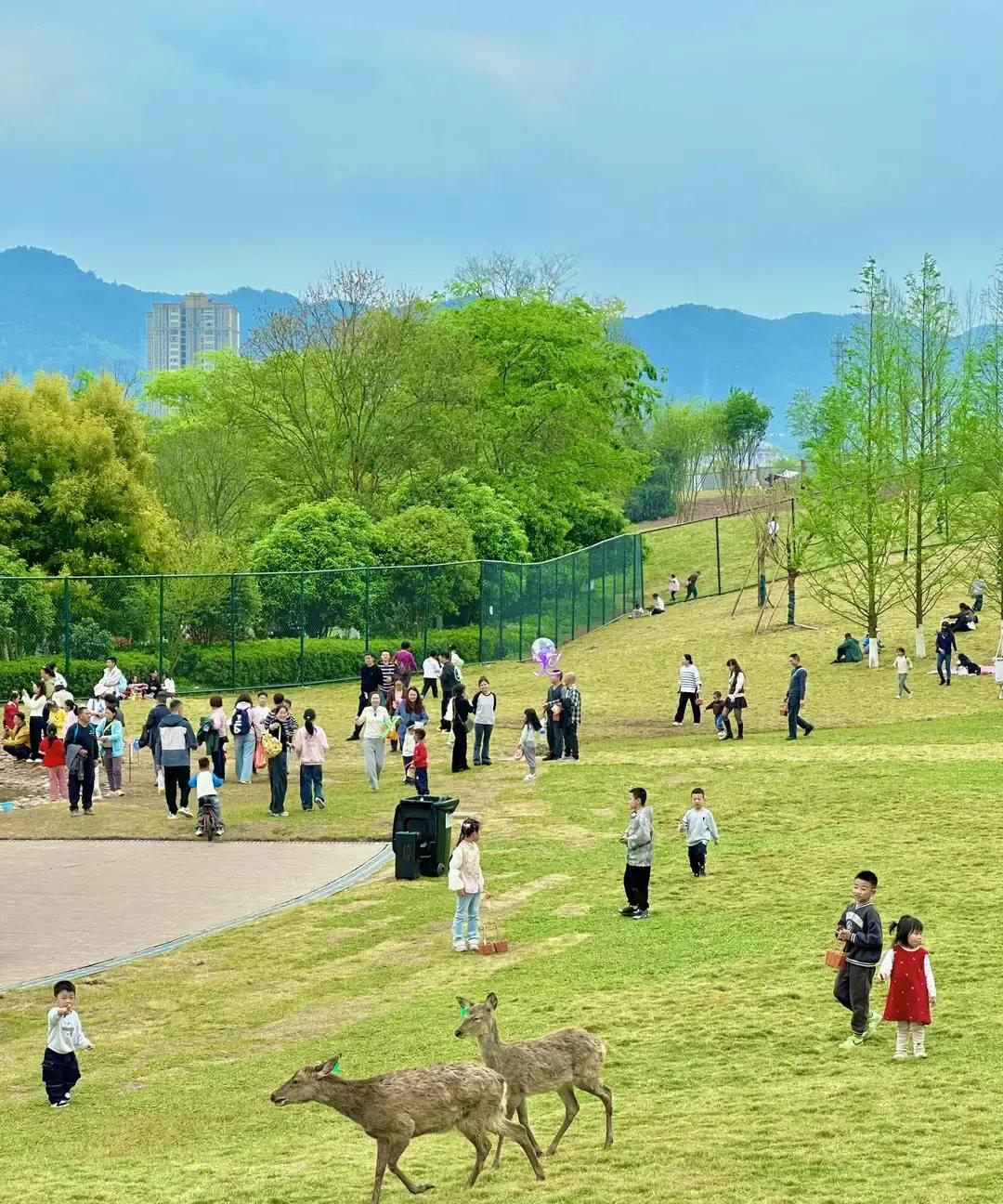 养娃五年，我总结就五个动作。

陪，不是坐旁边刷手机，是跟他一起把饭吃得满脸米粒