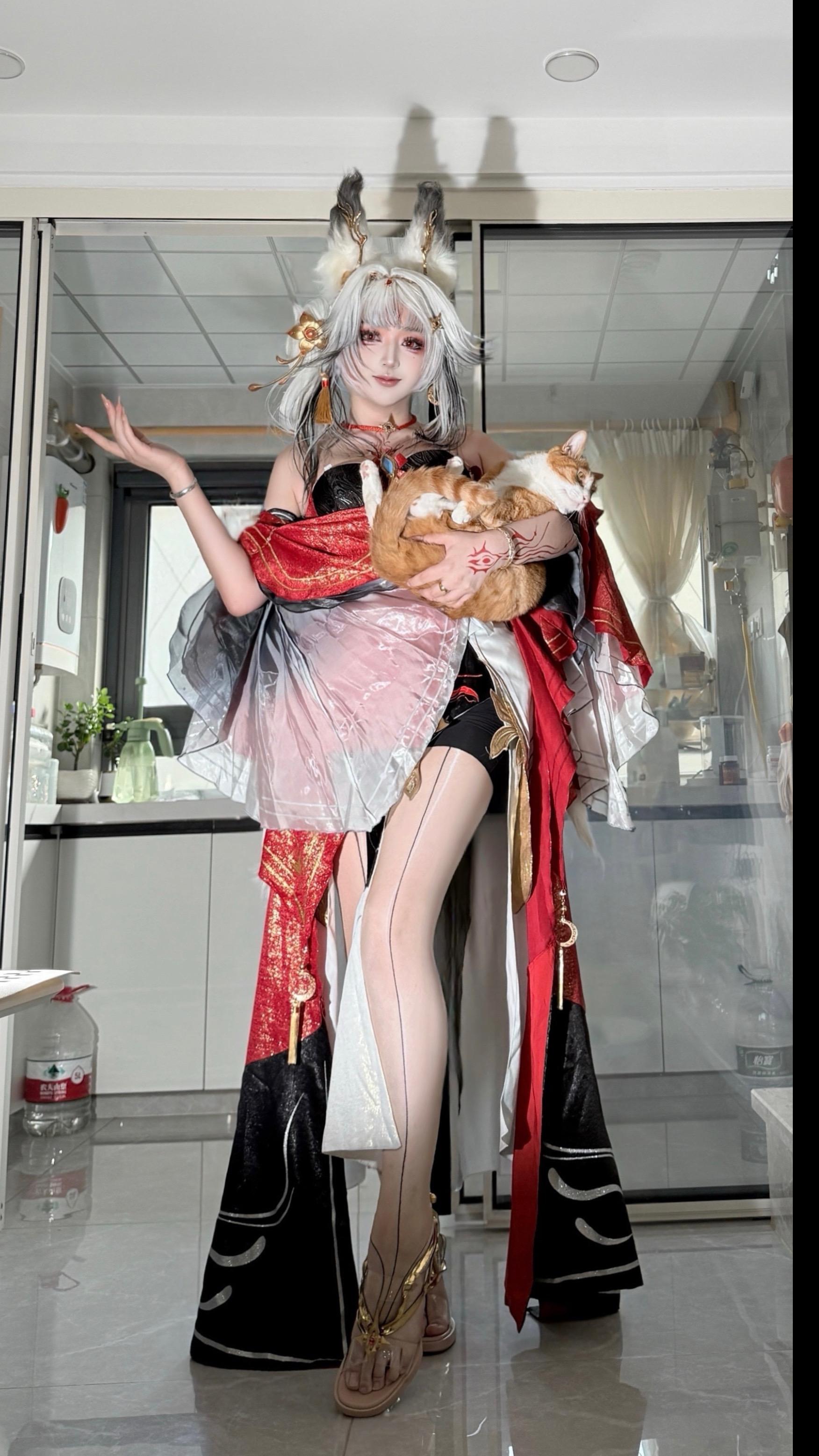狐狸和猫咪🐱。
