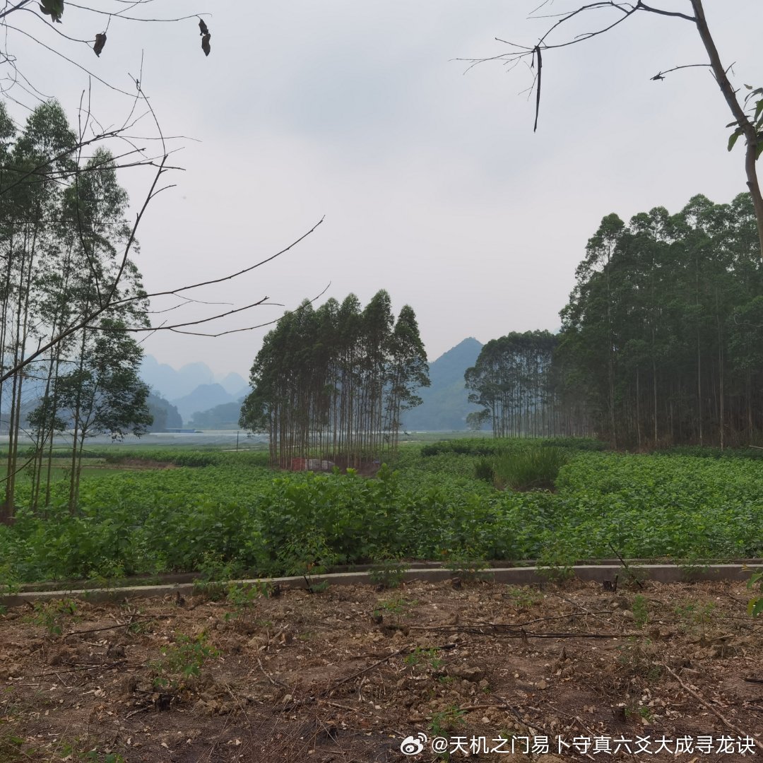 企业发展，运势与布局至关重要。天机之门易学官网李道长易学风水团队，深耕企业易学服