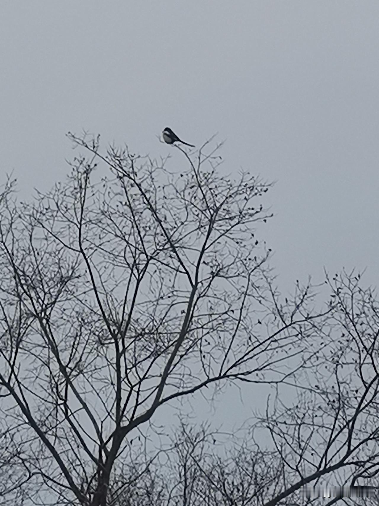 北京GDP破5万亿！普通人能分到啥好处？
 
前天最炸的财经新闻，必须是北京GD