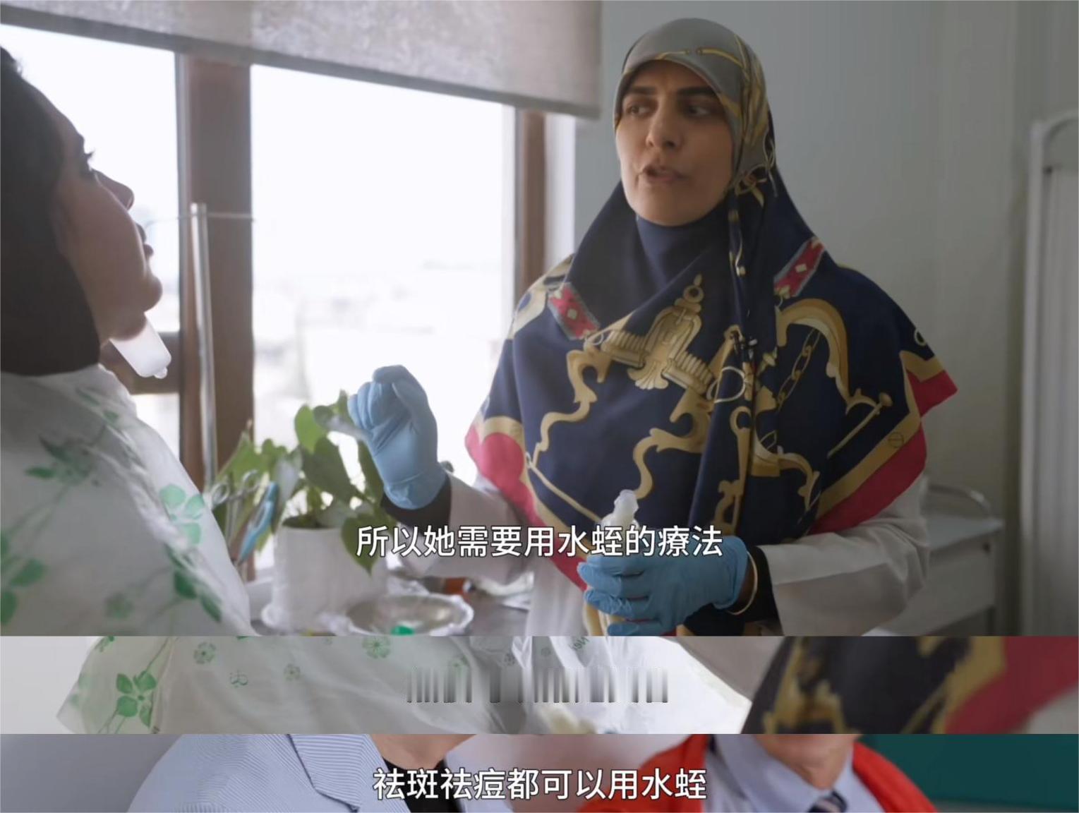 现实生活中大家看到水蛭应该都是避之不及的吧，看了《四海中医》伊朗站才知道水蛭是治