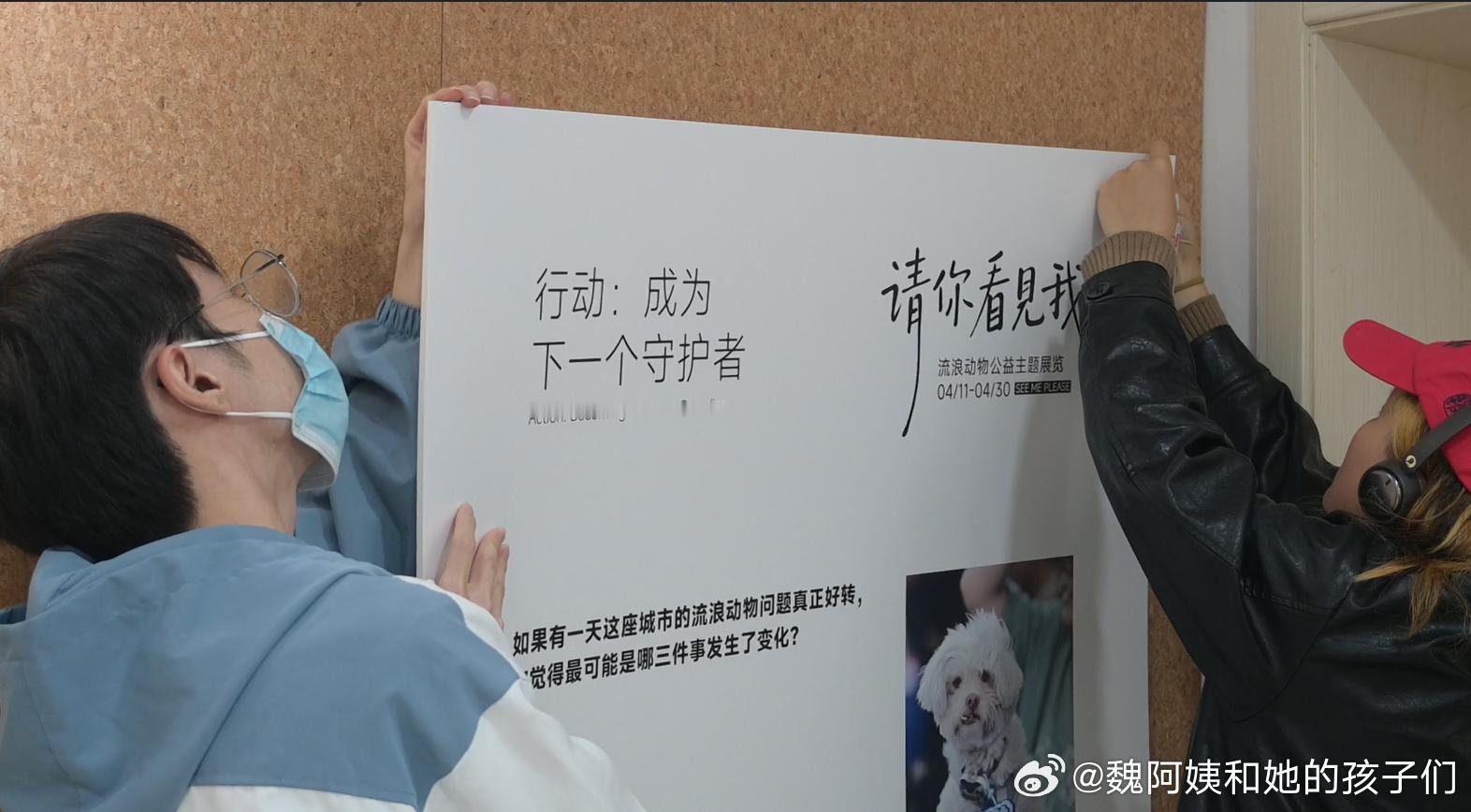 「请你看见我 SEE ME PLEASE」 流浪动物主题公益展览 04/11-0