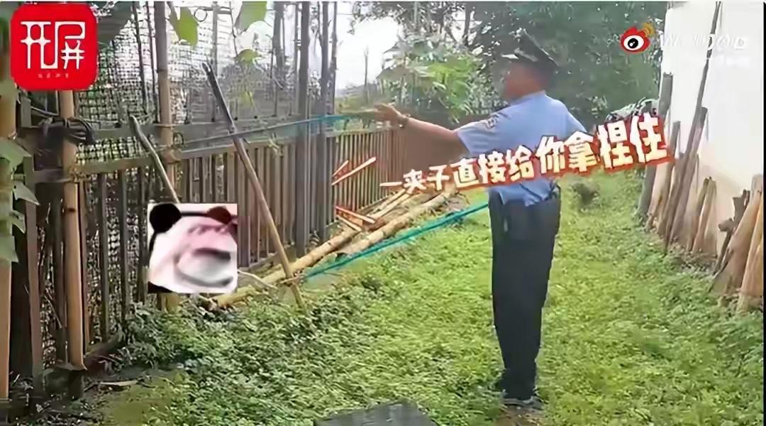 6月26日，在自家瓜棚里，王女士就遇上了这惊险一幕。当天，这条“潜伏”在瓜棚下、
