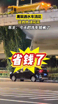 看完视频忍不住感慨车主太会找机会。高架洒水车浇灌花草，他跟着洒水车匀速前行，水流