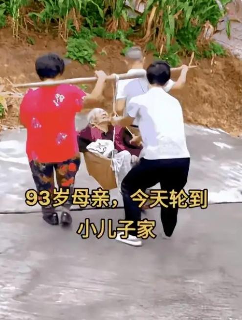 93岁老人有8儿2女，这次轮到小儿子家住，小儿子和儿媳拿着扁担将老人放入萝筐挑回
