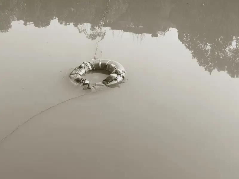 台湾河道惊现浮尸！本以为是凶案，真相曝光全网破防，太心酸
 
台湾桃园一条河道里