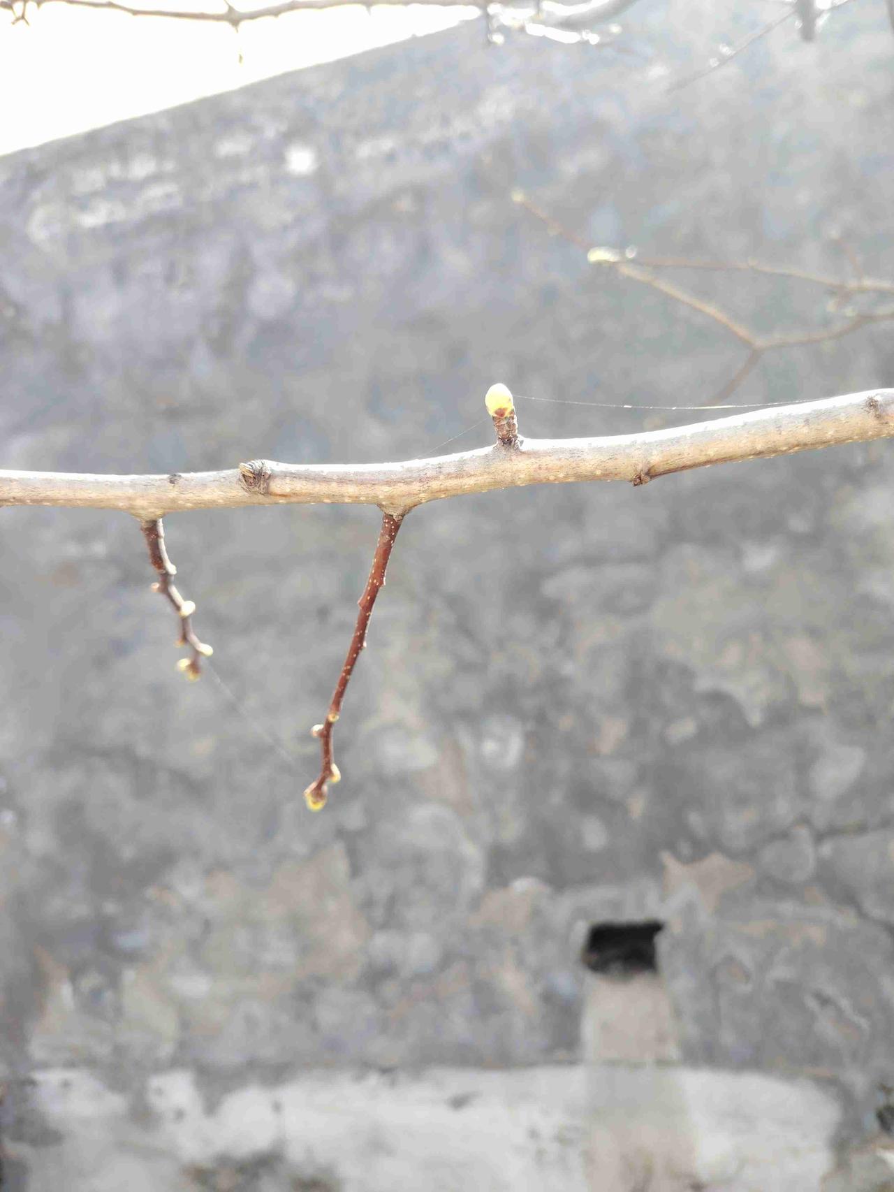 我的今日状态：💰期待暴富
我这里的天气：🌈雨过天晴