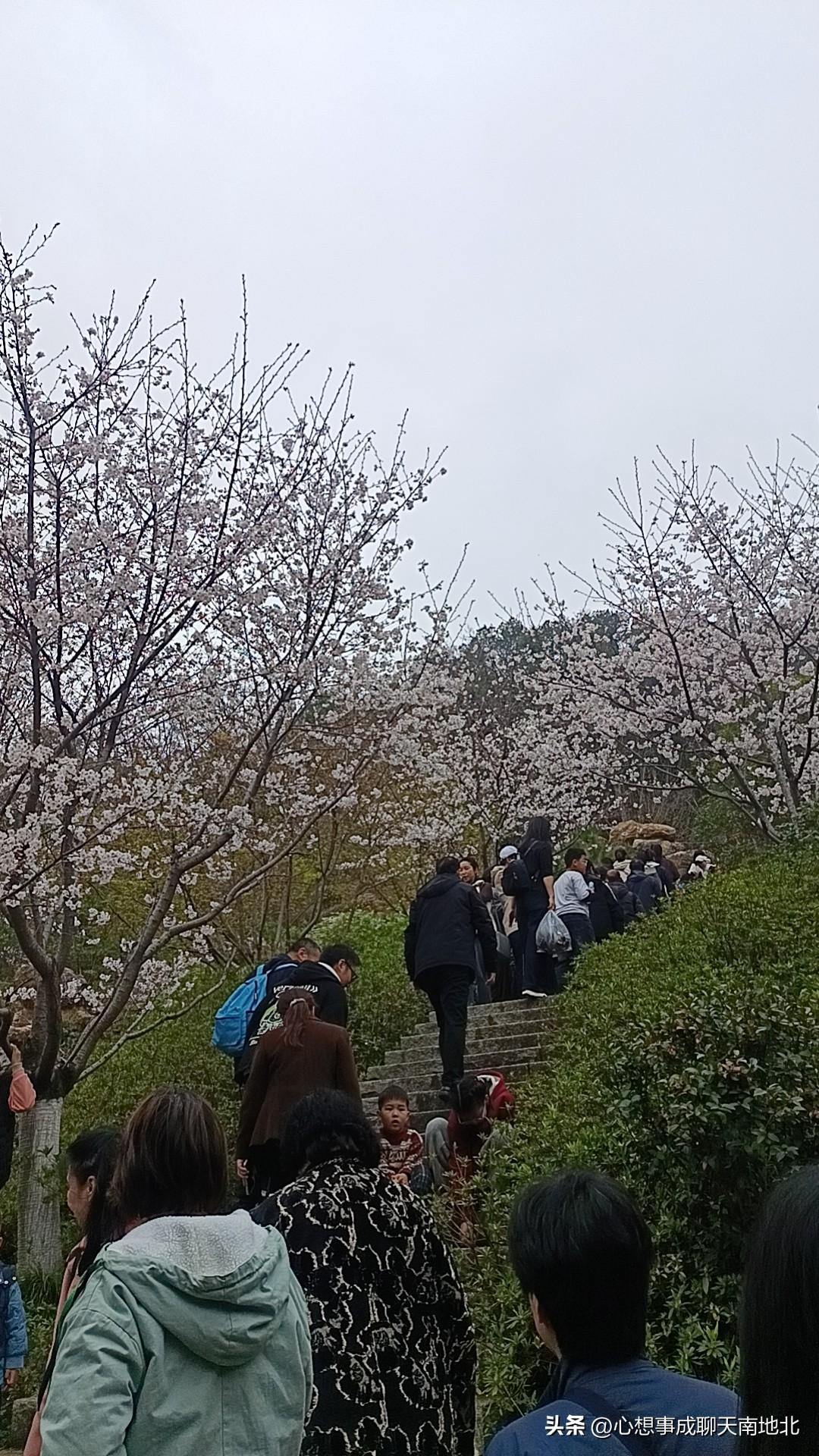 无锡马拉松（锡马）vs 武汉马拉松（汉马），核心差异一目了然👇
 
一、基本信