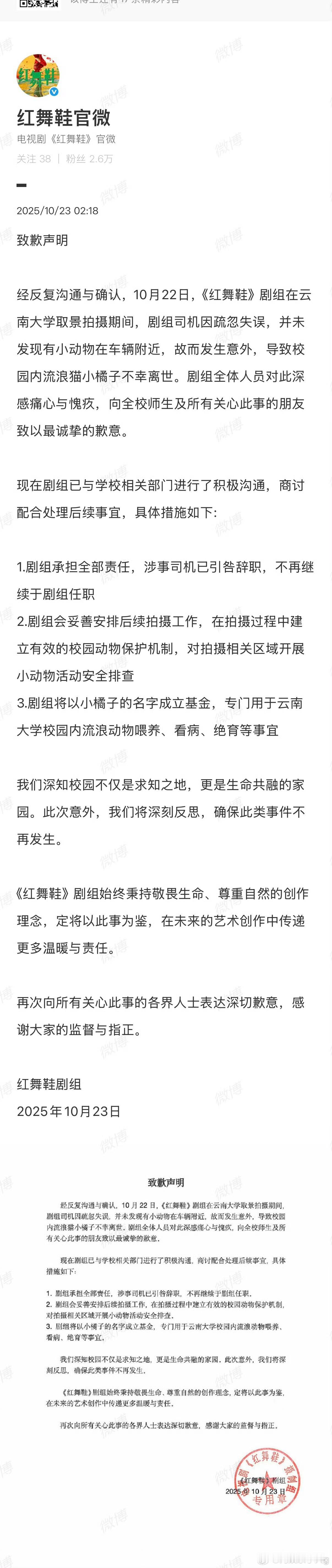 校园里的猫真的承载了很多同学的情谊的…刮风下雨，甚至寒暑假都会安排人专门去投喂的
