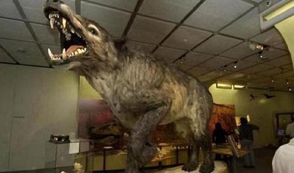 1973年，一头神秘野兽进入部队捕食，被哨兵当场射杀，然而，当看清野兽的模样后，