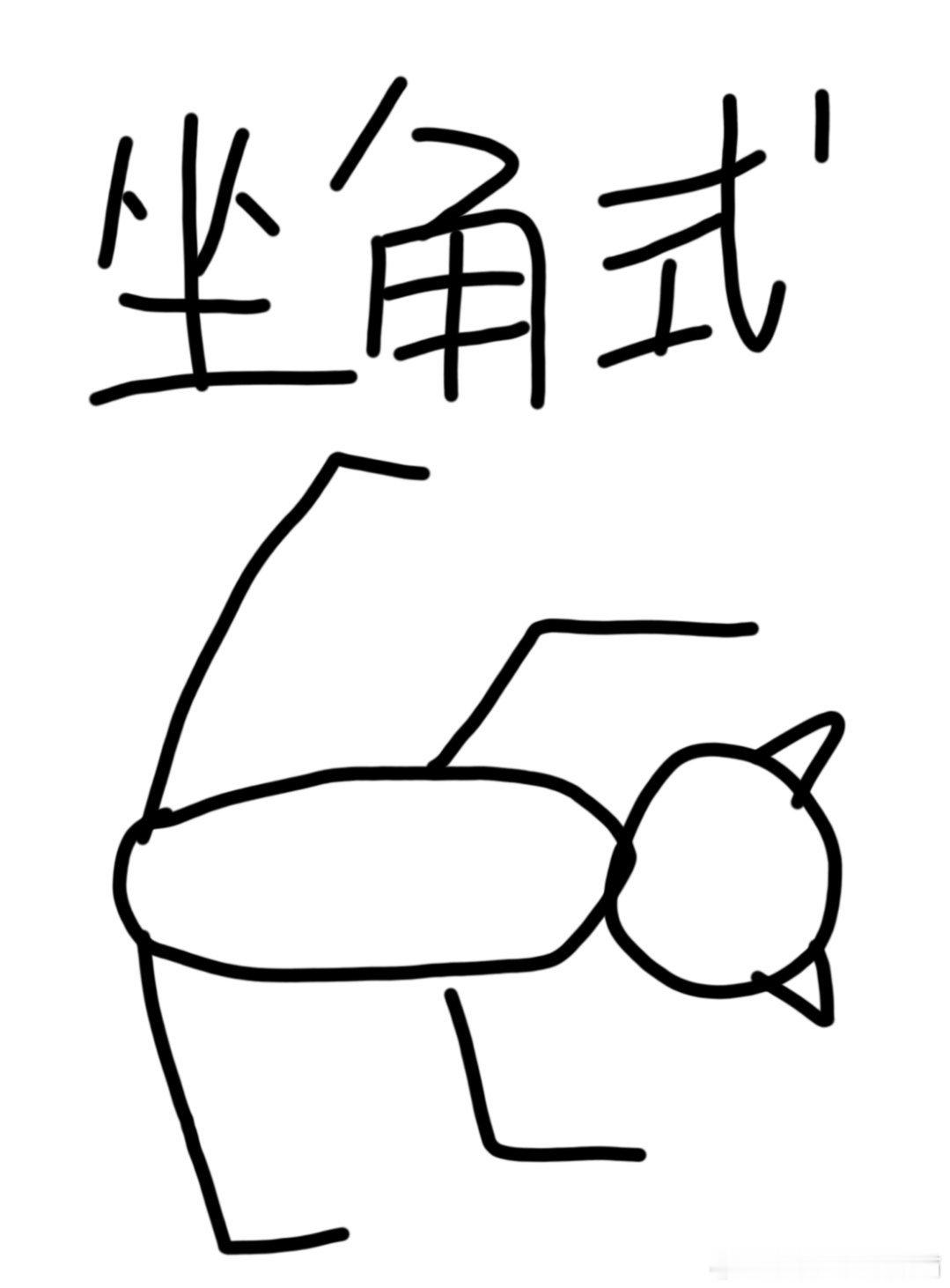 坚持运动打卡午间来一套温和瑜伽，坐角式准备，束角式收尾～ 