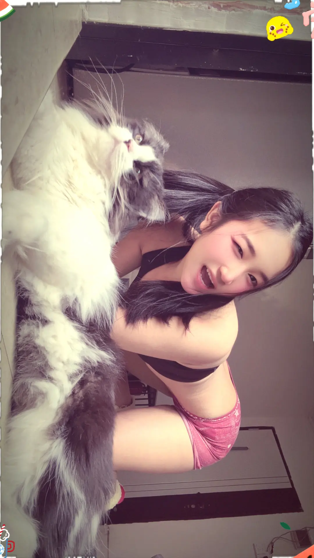 人类需要小猫
