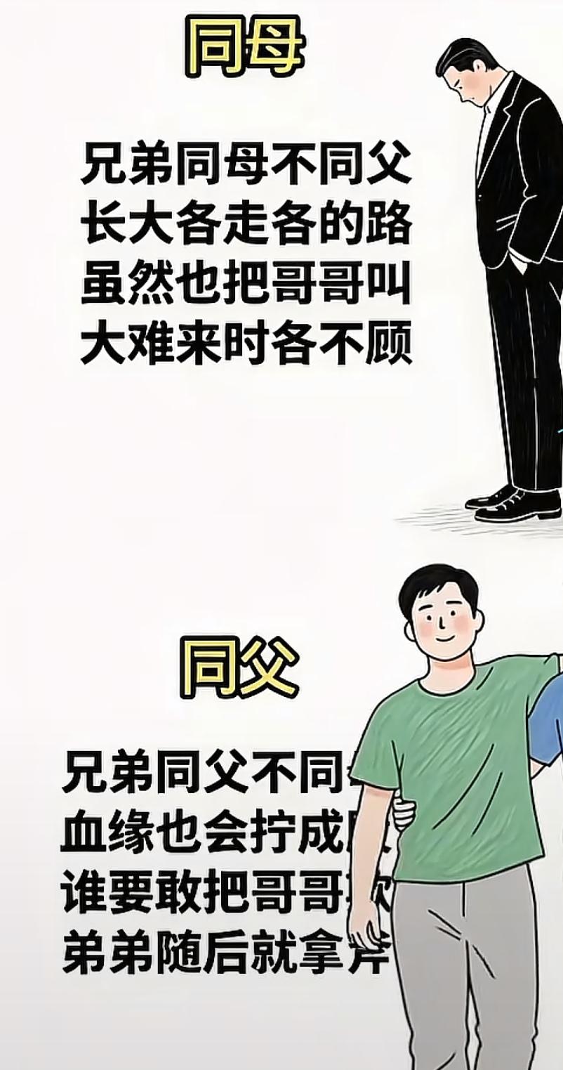 说得精辟
以父为同
同一屋檐
以母为同
各为各家