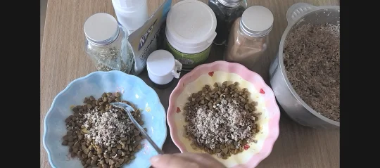 简单吃点肉松拌饭🐶