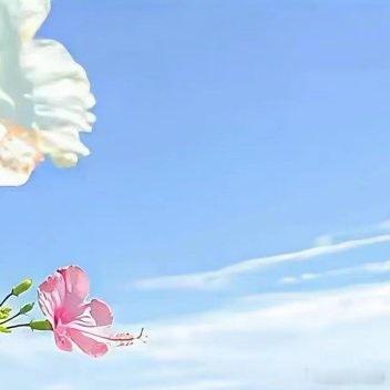 陈哲远 🪴阳光‬‬信用‬ 🪴每日一善️ 🌼 以善良为师，便是在灵魂深处点亮