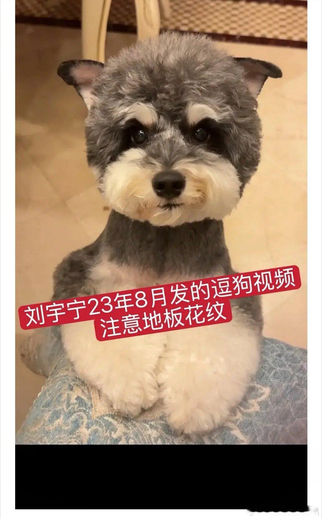 曝刘宇宁宋祖儿同款地板家具桌子腿确实蛮像的。 