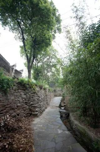 我朋友的孩子当上村里第一书记，这孩子干劲十足，太实在了，全身心投入，周末也不休息