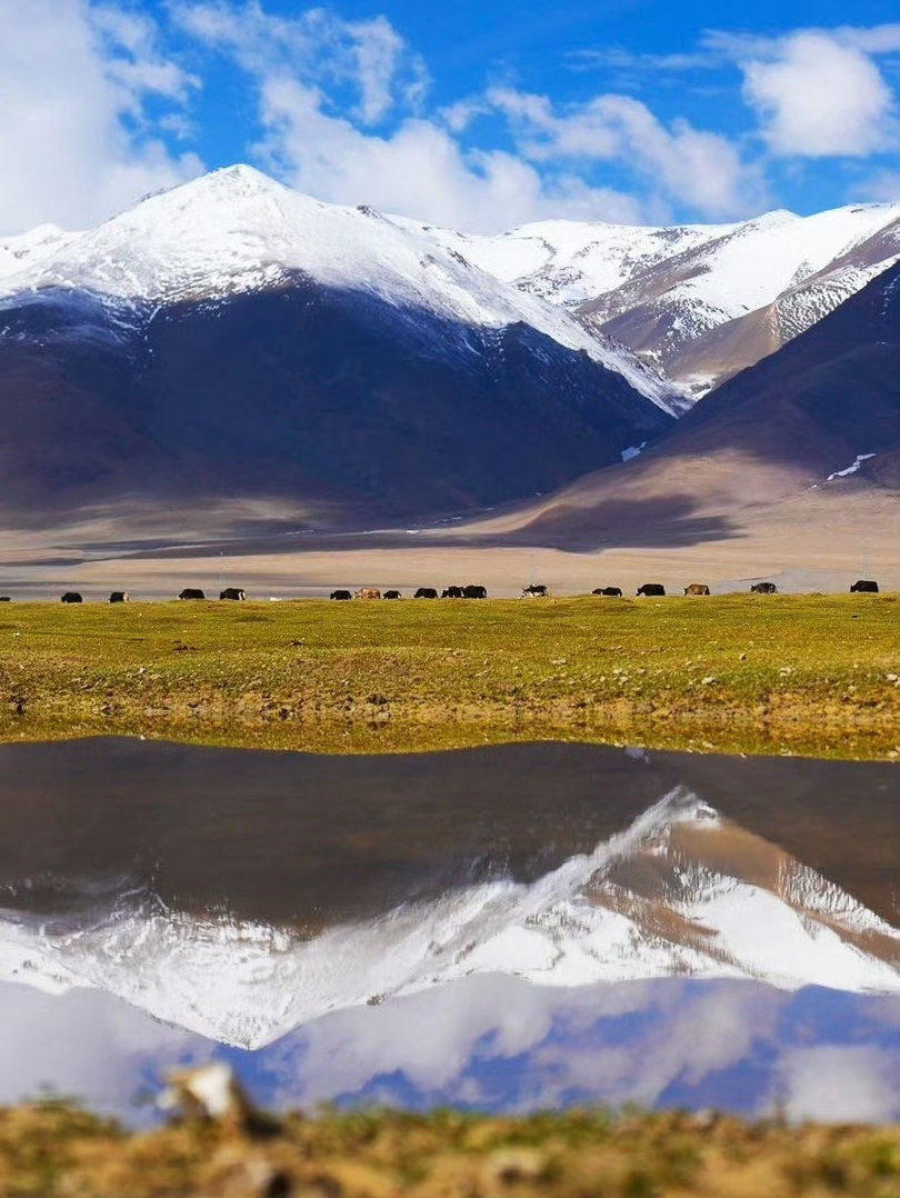 世界上总有一些风景，是能治愈人心的。一望无际的蓝天，波光粼粼的大海，郁郁葱葱的森