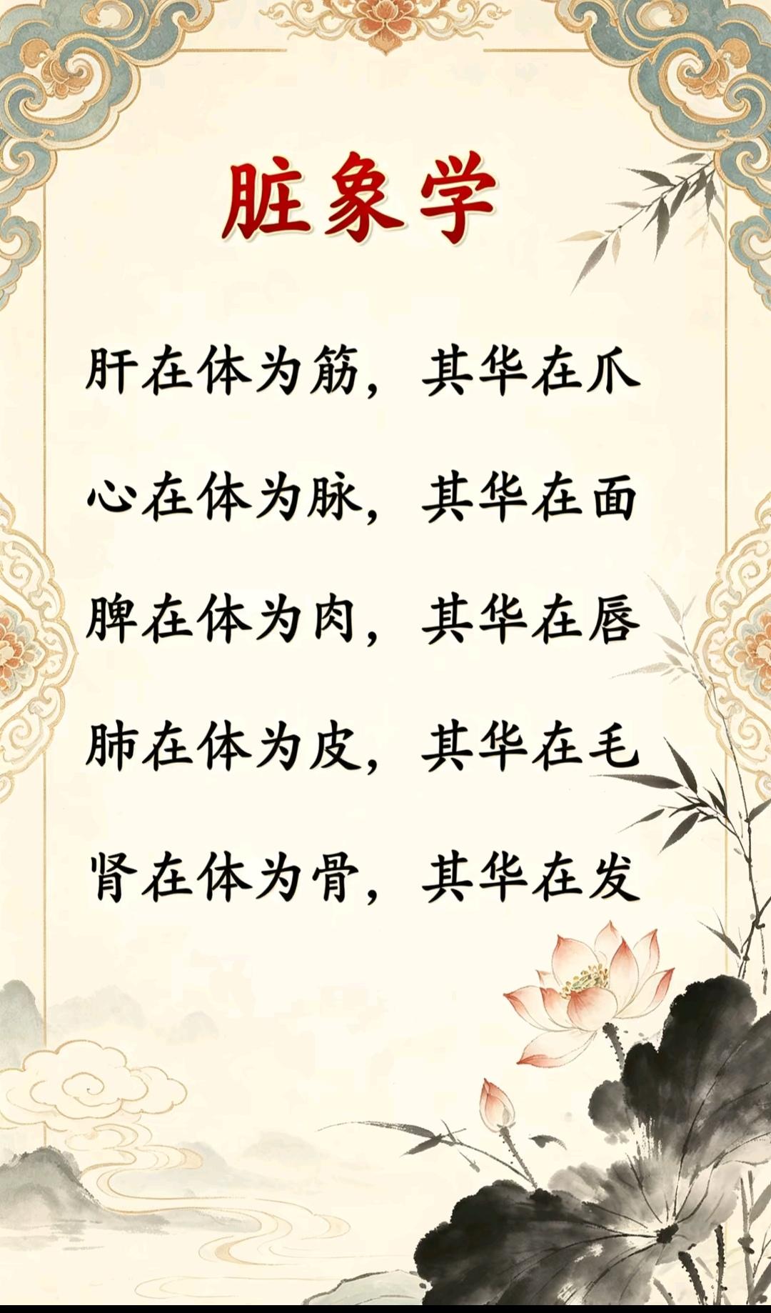 养生知识科普 又到了每天健康科普的时候了 身体调节小常识 每天学点中医...