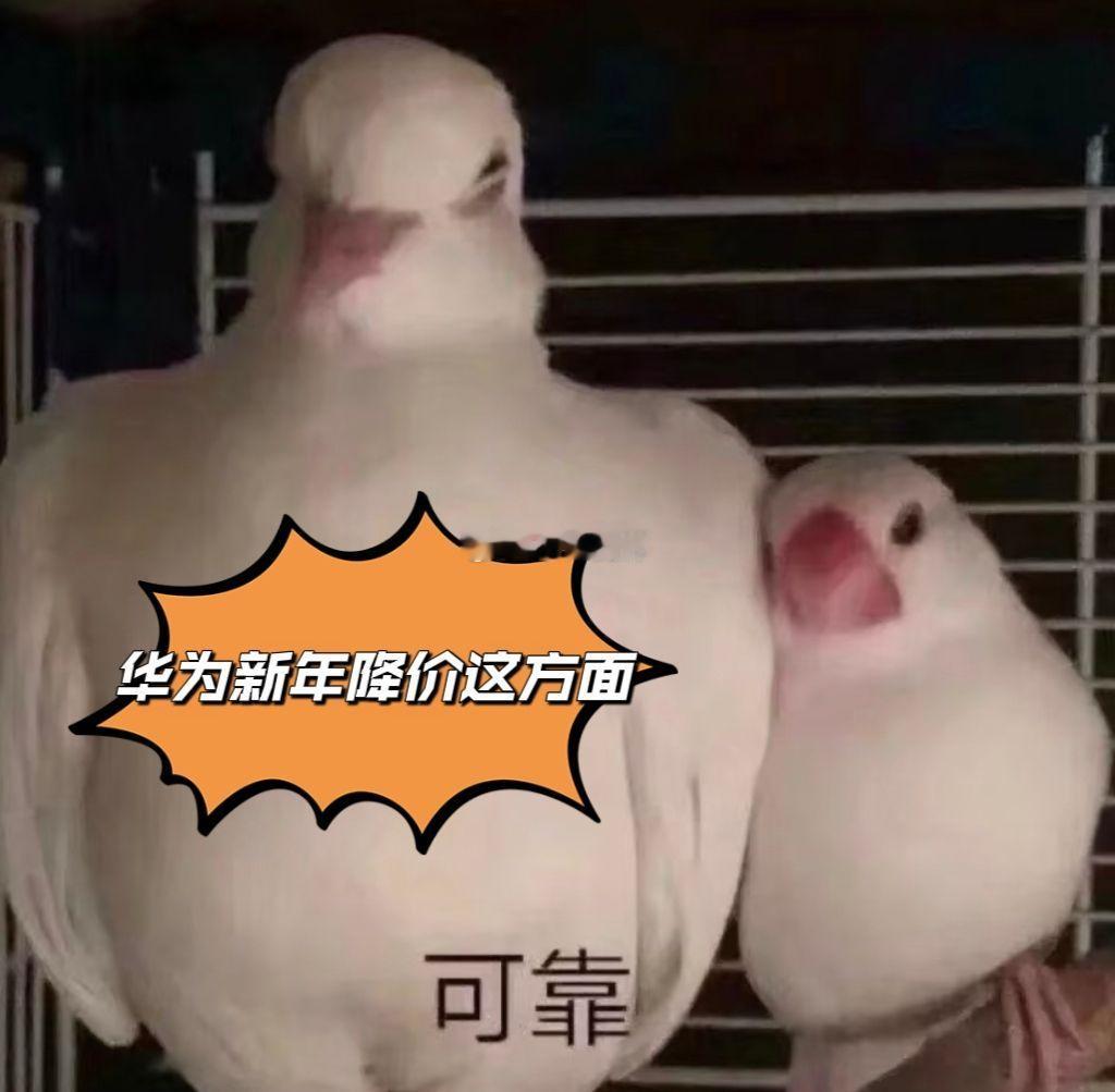 华为上线新春优惠 1555551终于蹲到华为的新春优惠了，自己扒拉着算了笔账，不