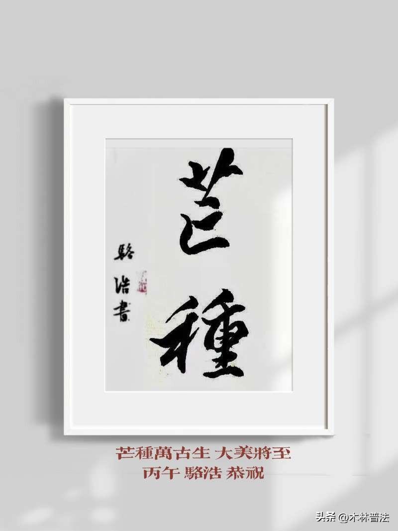 芒种
书法：长安骆浩[啤酒]