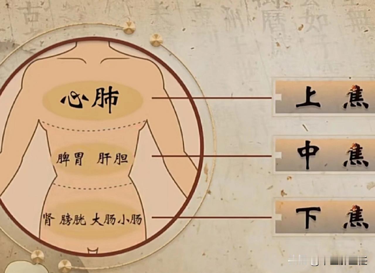 补足气血，关键在打通三焦！
想要全身气血充足，得先从三焦入手。
首先是上焦，它包