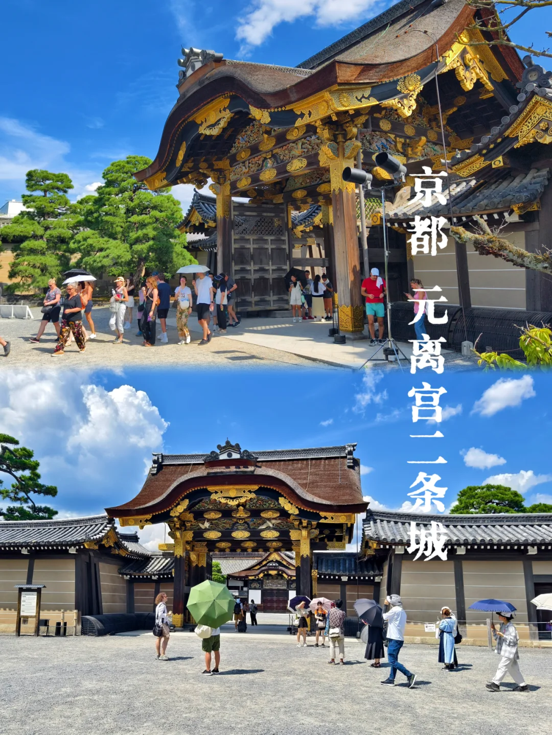 京都二条城 | 世界文化遗产