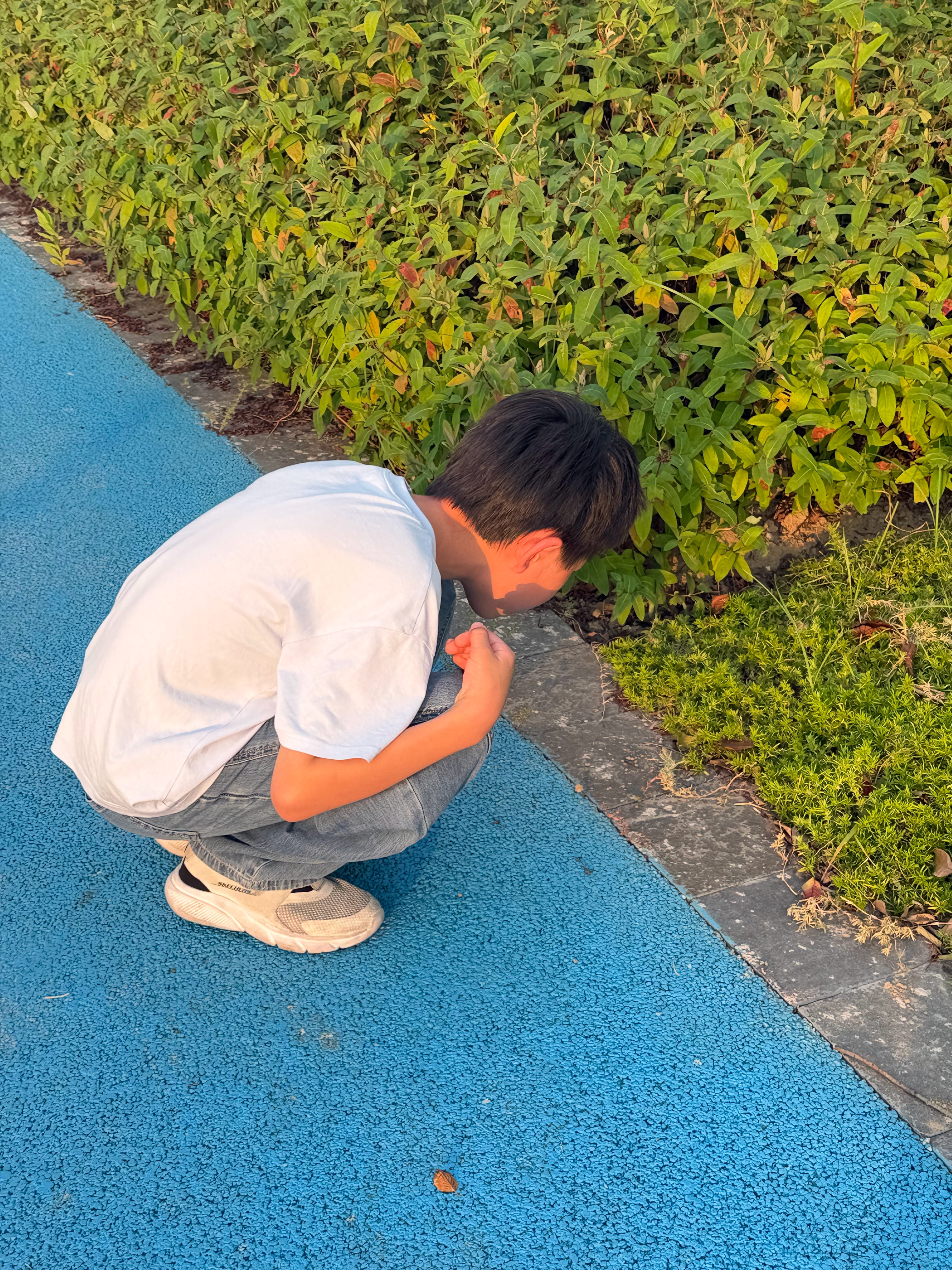工作了一天，又见了品牌方，五点带娃鸡眼睛，这一天天的。 