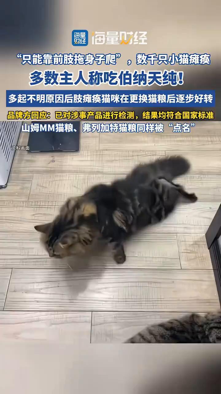 "只能靠前肢拖身子爬"，数千只小猫瘫痪，多数主人称吃伯纳天纯！
多起不明原因后肢