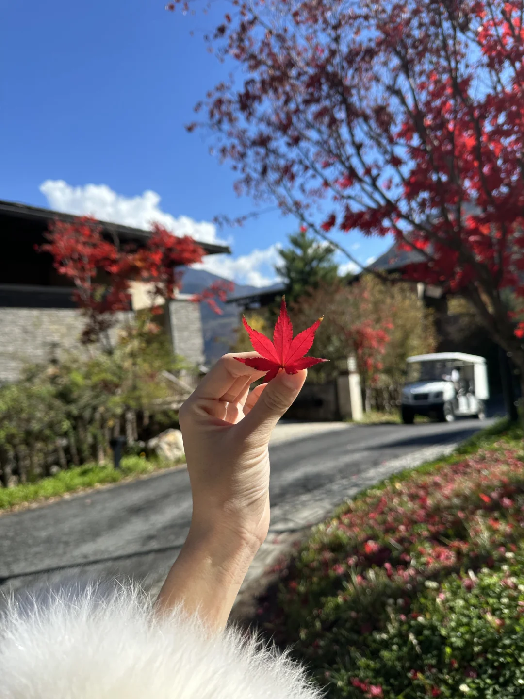 九寨沟希尔顿度假酒店