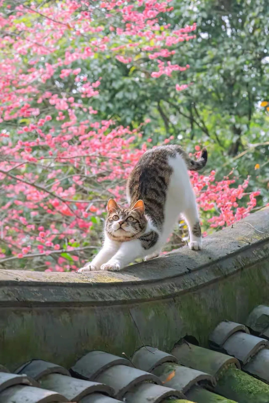 从小过度被使用的孩子，长大后会陷入一种无意义感的空虚中。