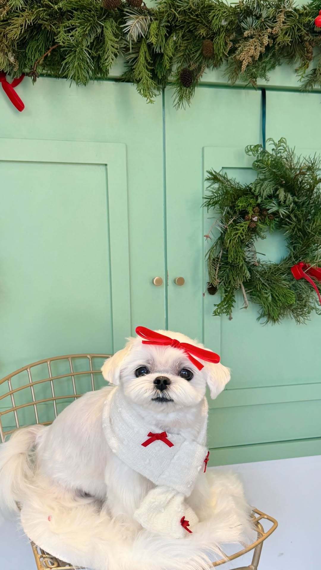 “CB百蓝_。251112 ins story更新： 