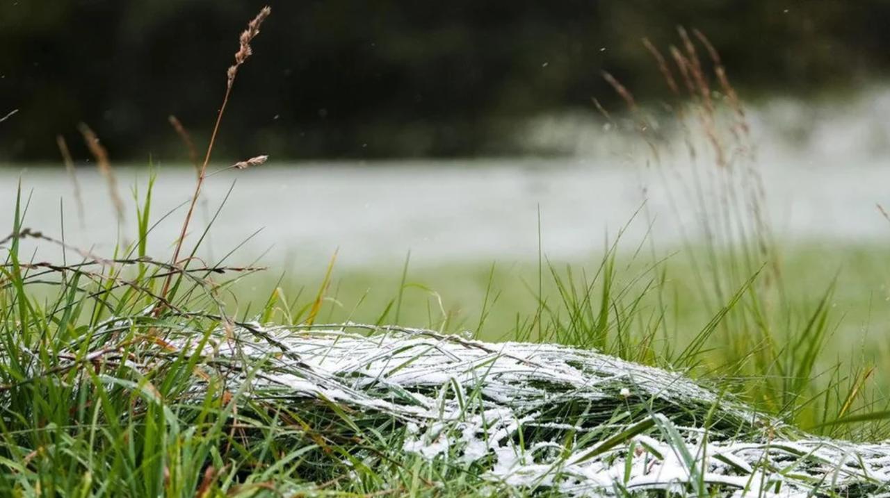 俄罗斯迎来今冬首场雪
 

莫斯科，9月3日——俄新社

俄罗斯今年第一场雪已落