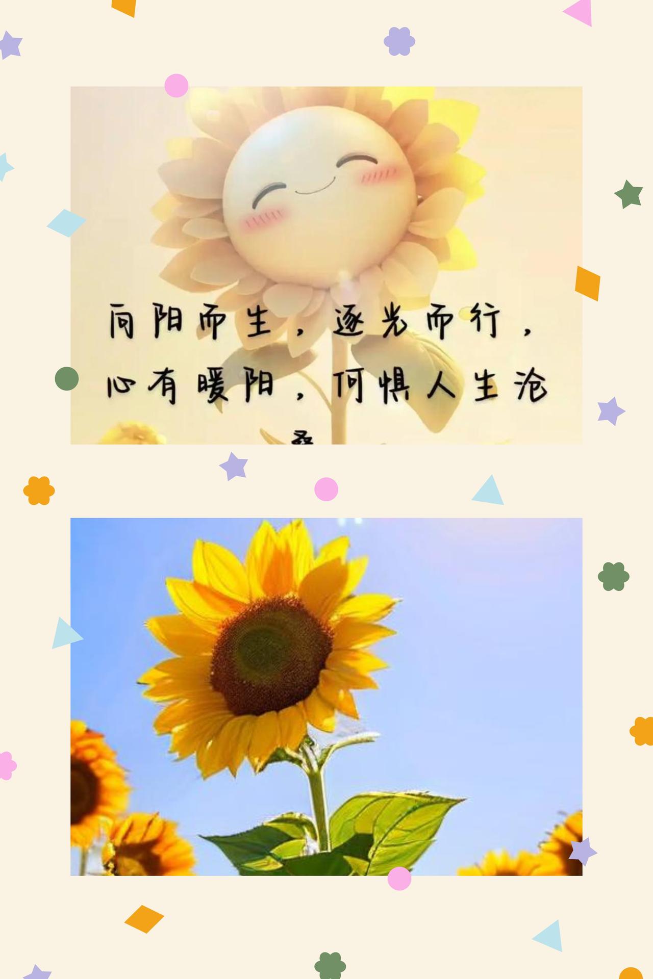 阅己向暖，步履皆安
写下这些话，从不是为了堆砌励志的字句，只是想在往后某个心绪低