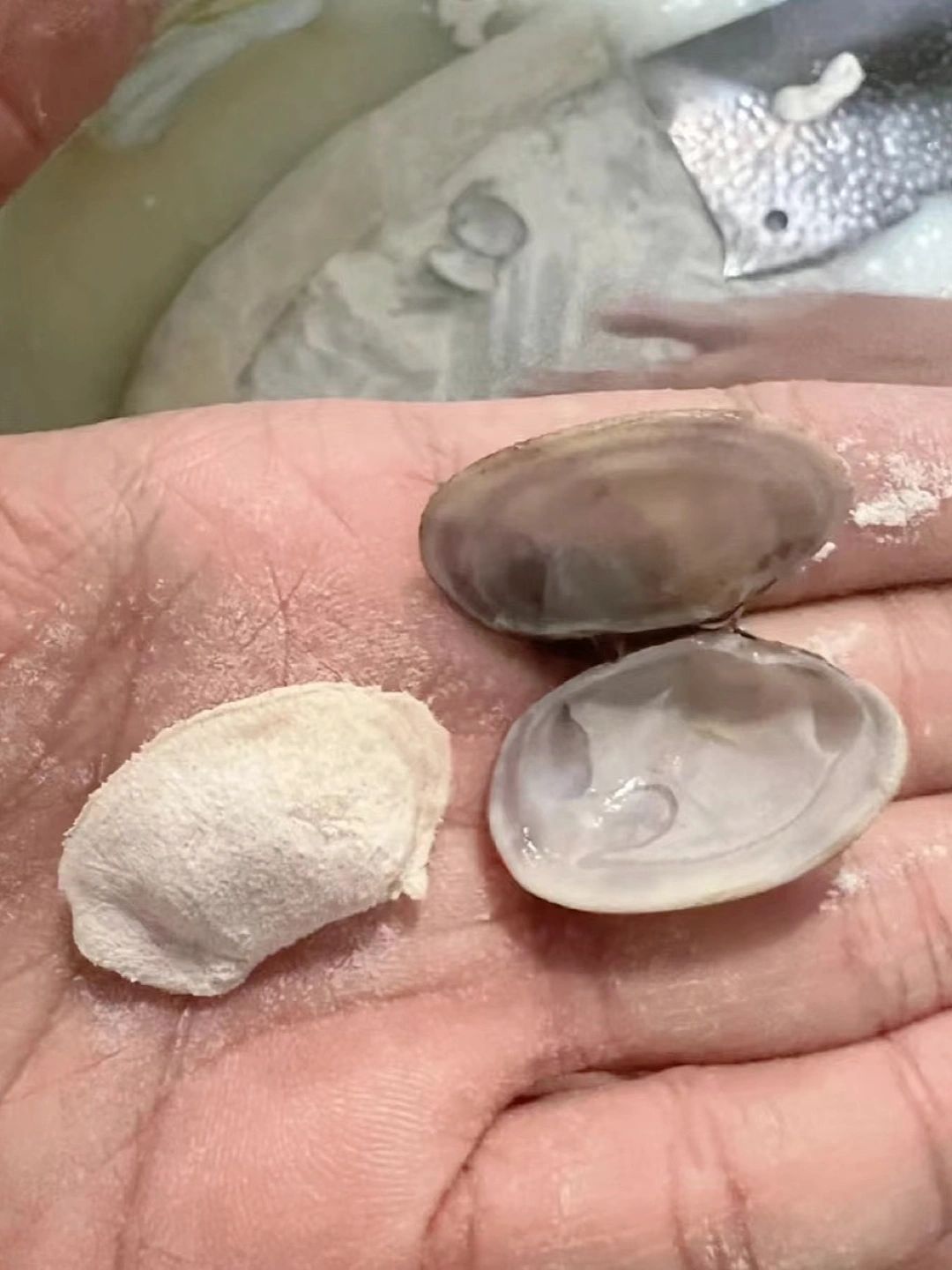 #包饺子进化到这种程度了吗#我妈问我为什么今天的饺子这么小 ​​​