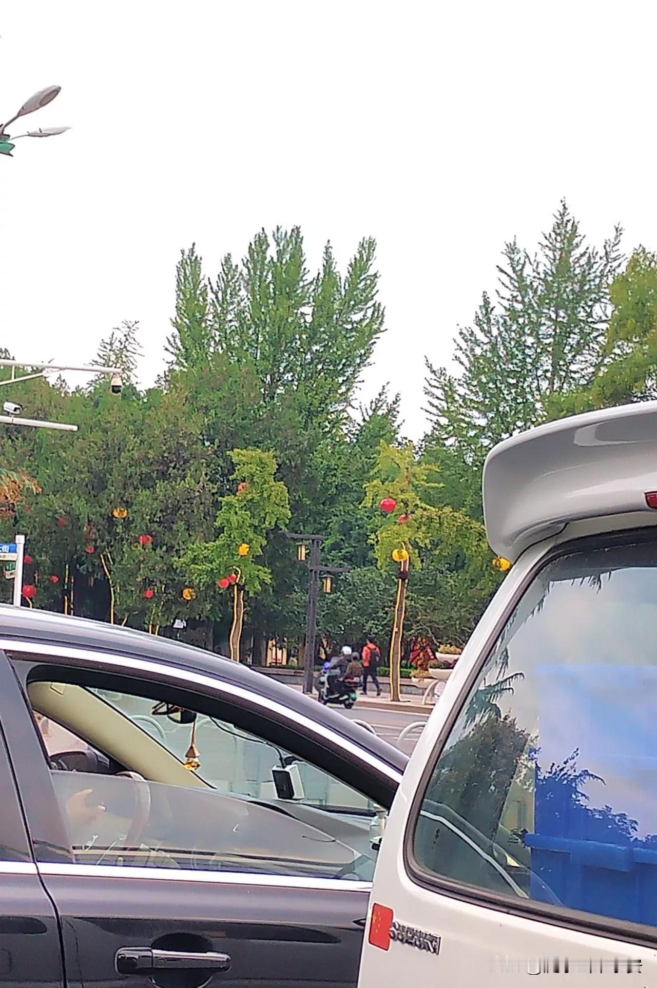 今年十一不用吃瓜 ,来看瓜吧 .泰安红门路今年的亮化工程弄的太有才了 ,一个个大