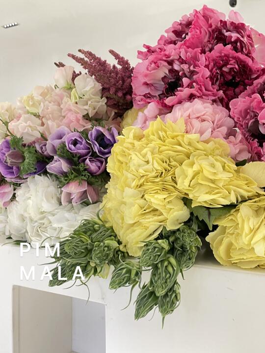 PIMMALA｜惊蛰
