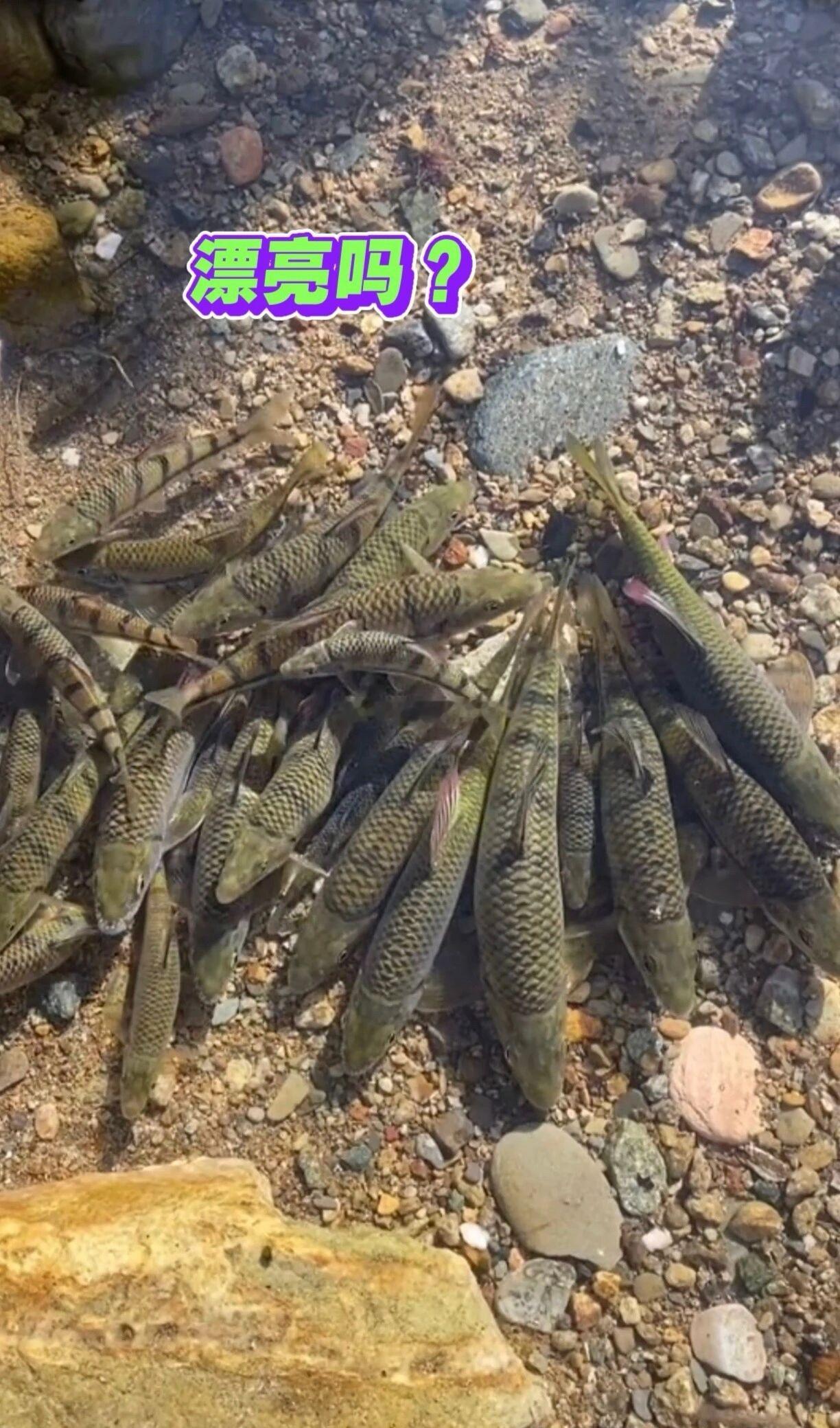 别等到行情回落被动被套，当下你最该做的，便是主动布局。明天周五，送给大家四个字：