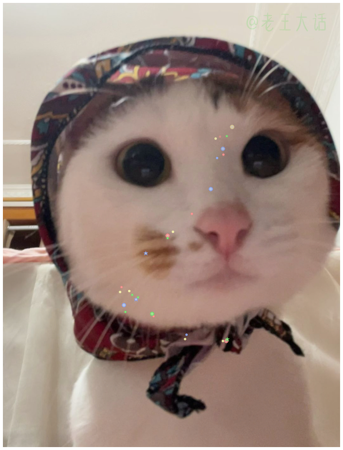 媒婆猫 