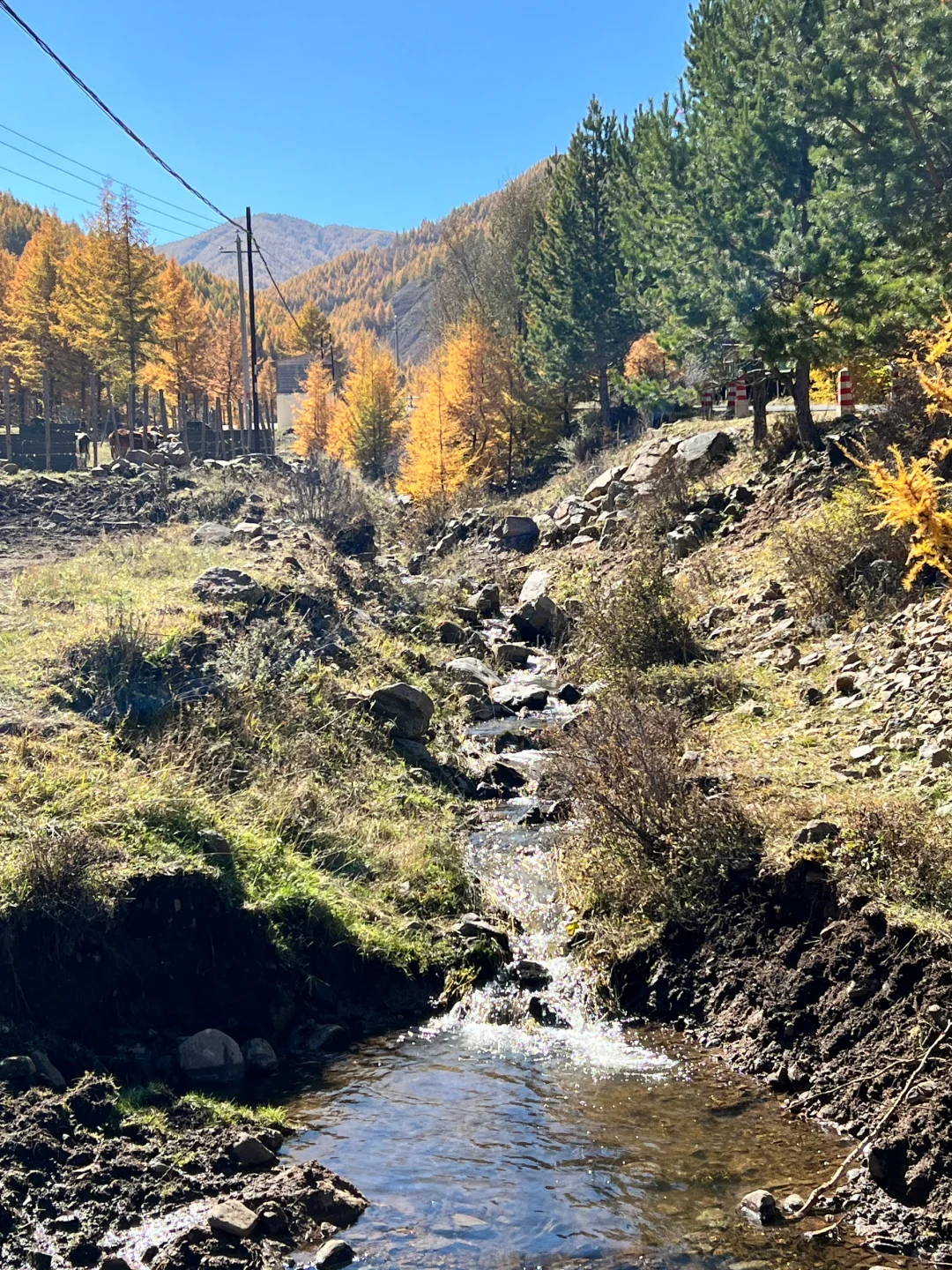 苏木山的秋天🍂