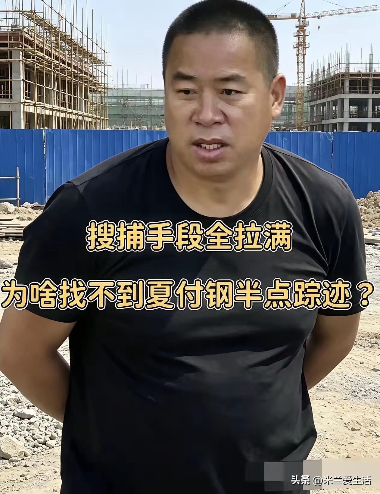 整整五天，182个小时，河南西平县那片玉米地，成了所有人心里解不开的疙瘩。

7