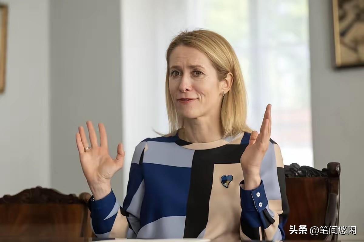 欧盟外长：乌克兰没有失败，欧洲应剥夺俄罗斯军事能力！
​欧盟外长，也就是那个叫卡