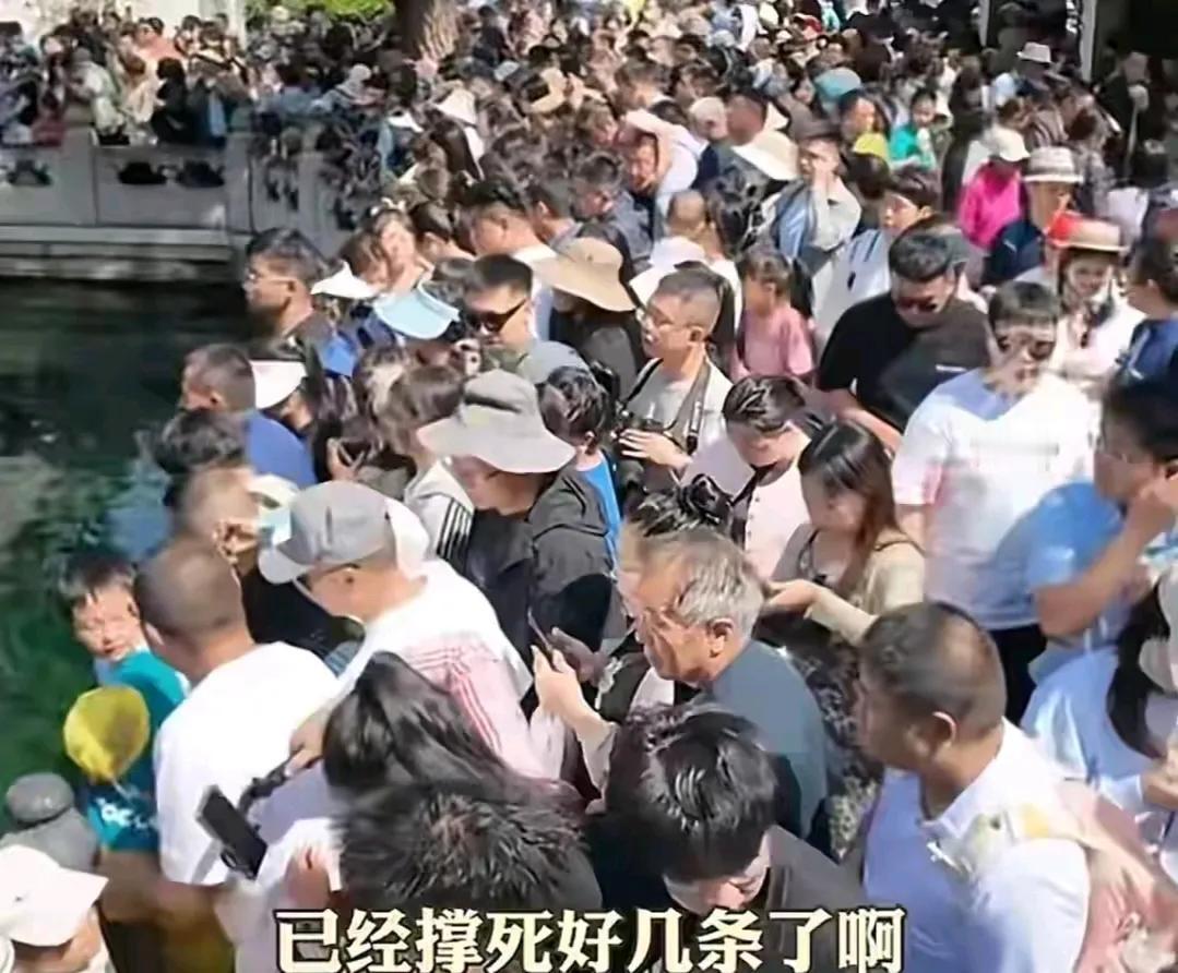 南，游客们去趵突泉游玩，看到泉水里的鱼就忍不住想喂，不料喂得太多，几条鱼就这么撑