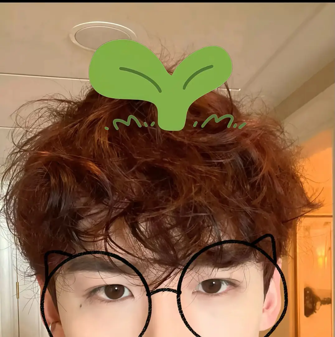 亭亭小卷毛头上肿么长草草啦