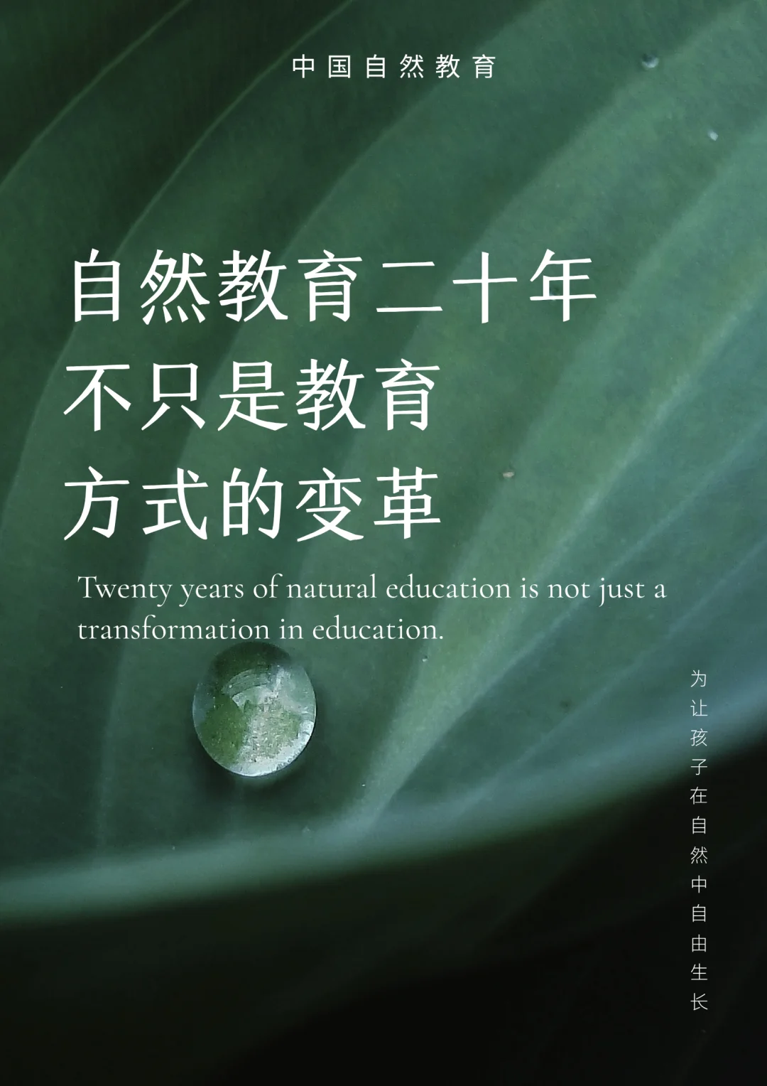 自然教育二十年｜不只是教育方式的变革