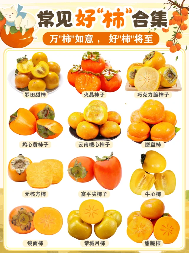 “柿柿”如意🧡心想事成|柿子吃脆？吃糯