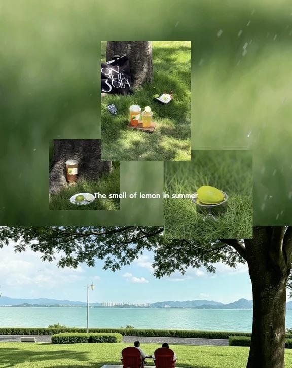 人类为什么迷恋夏天🍃
-
为什么人类迷恋夏天
	
不知道从什么时候开始
偏爱往