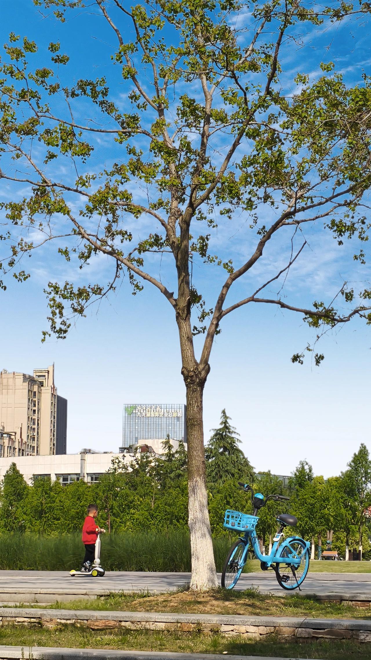 人也如此，即便平凡普通，也在时光中坚守。就像诗里愿做新叶的人，默默付出，装点世界