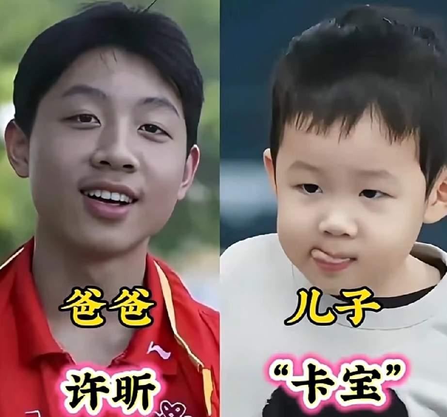 许昕、郭晶晶、林丹，赛场叱咤风云，和儿女同框，强大运动基因肉眼可见，褪去冠军光环