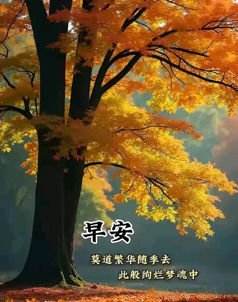 凡人，就不聪明么。。。
不经历风雨，怎么见彩虹。。。
不出外霜雪，又怎沐风寒。。